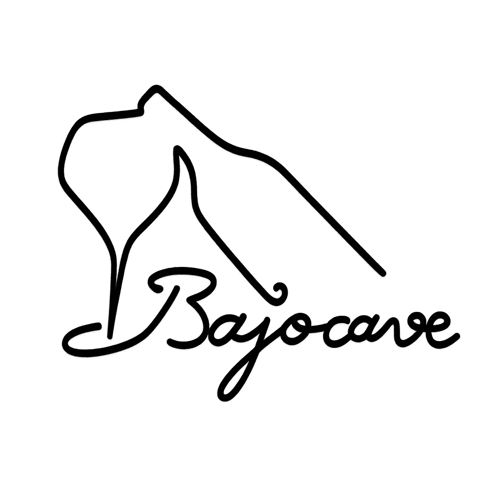 Bajocave